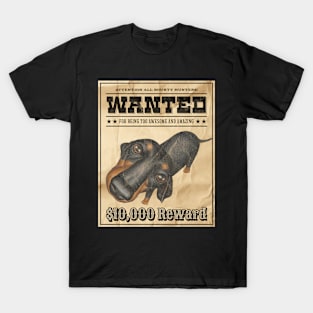 Funny Cute Doxie Dachshund Dog Wanted Poster T-Shirt